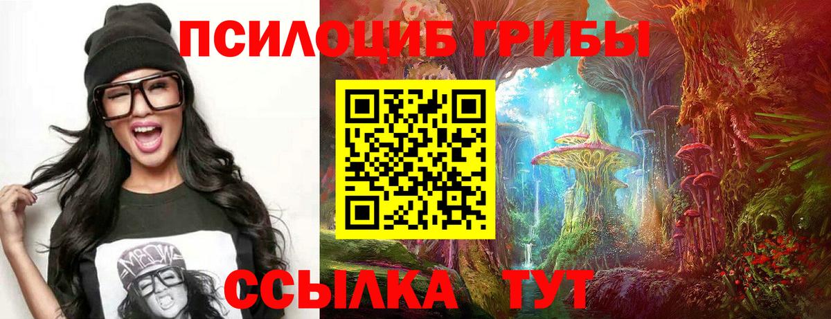 Псилоцибиновые грибы мицелий Дзержинский