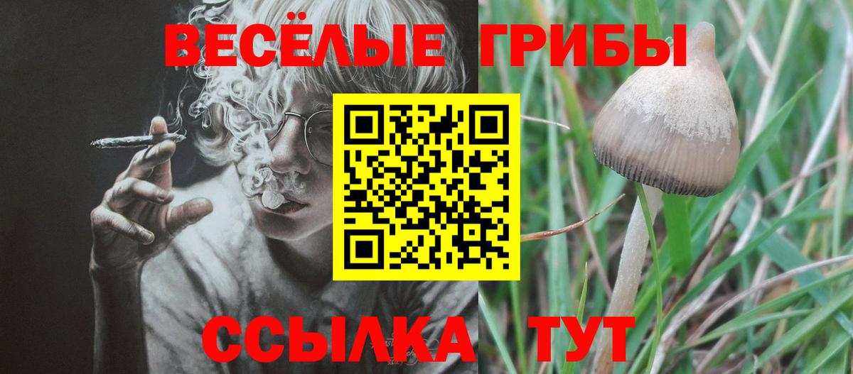 Псилоцибиновые грибы мицелий  Вход с VPN  Дзержинский  Псилоцибиновые грибы Cubensis 